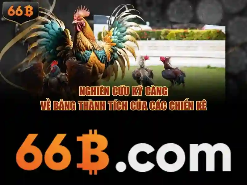 Trải nghiệm người dùng và phản hồi từ cộng đồng
