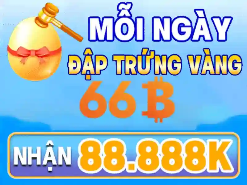 Khái niệm cơ bản về 66B