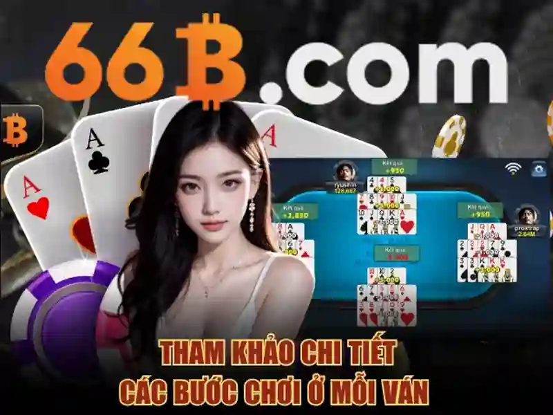 Trải nghiệm người dùng và phản hồi cộng đồng