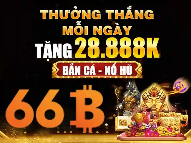 66b: Người đứng sau và mục tiêu
