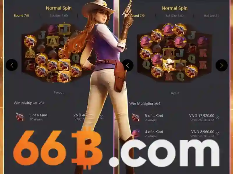 66B là gì
