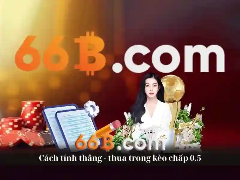 66B: Khái niệm, nguồn gốc và ứng dụng